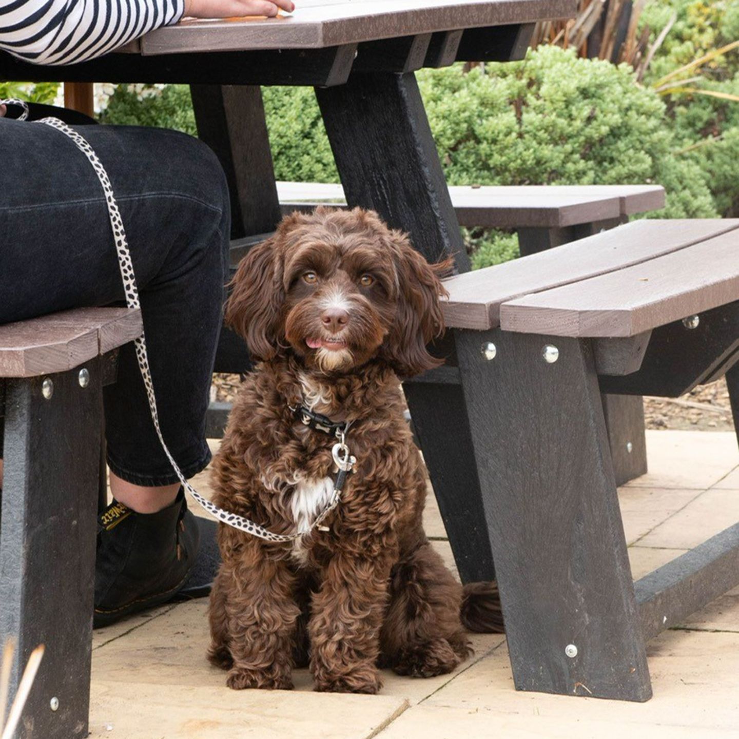 Your local dog friendly pub in Telford